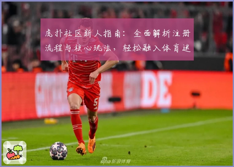 虎扑社区新人指南:全面解析注册流程与核心玩法,轻松融入体育迷互动平台